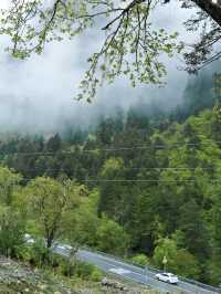 春季週末出逃!兩日遊寶藏路線 記得收藏!