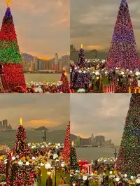 香港8小時拍完漂亮聖誕樹(挑戰成功版!)