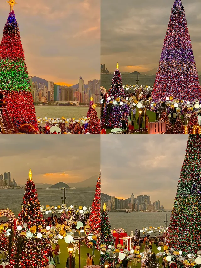 香港8小時拍完漂亮聖誕樹(挑戰成功版!) 香港8小時拍完漂亮聖誕樹(挑戰成功版!)
