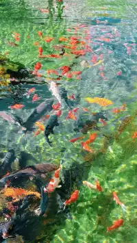 傳說中的“琉璃海”，我在濟南找到了！