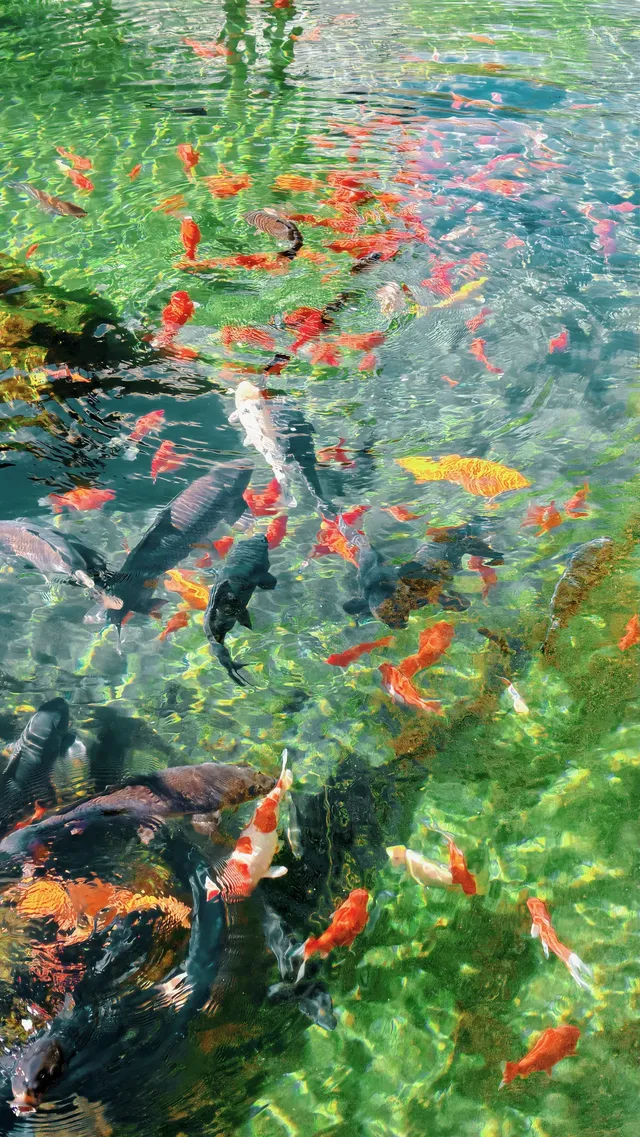 傳說中的“琉璃海”，我在濟南找到了！