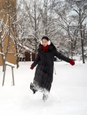 北海道雪又開始下了。