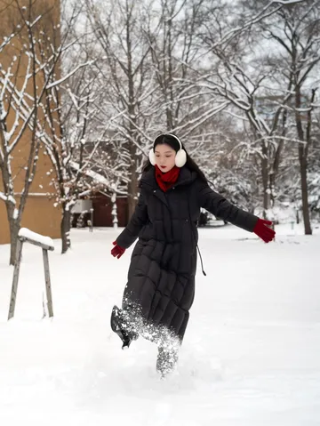 北海道雪又開始下了。