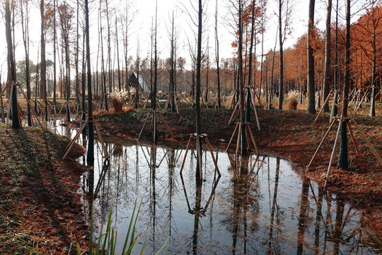 上海新的橫沔公園,開園3天遊客量破萬 上海新的橫沔公園,開園3天遊客量破萬