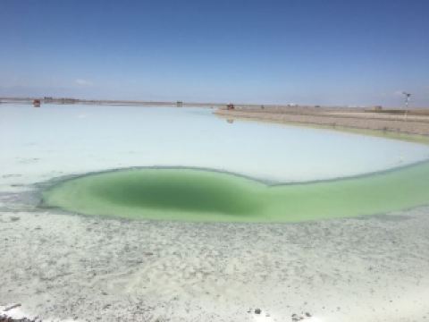 칭간 환선 6일 코스