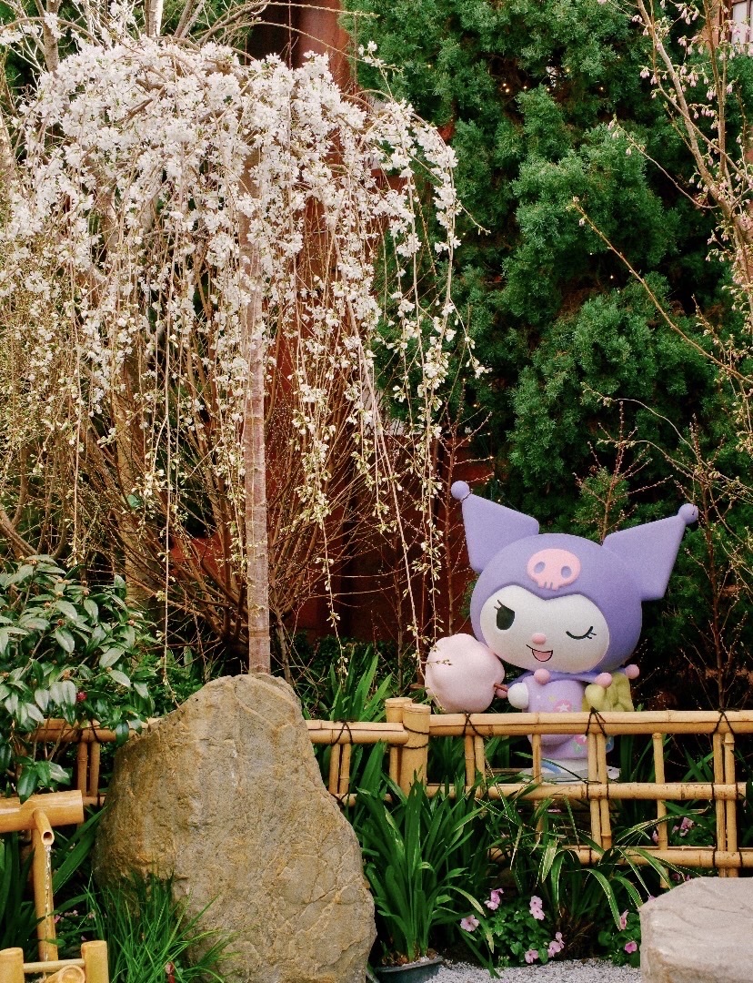 Hello Kittyがシンガポールで桜を見に来たよ🌸ピンクの夢の世界が息を