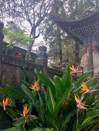 Kunming, a lesser-known city, just one hour away by high-speed rail