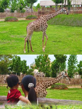 誕生日親子旅行16ヶ月の赤ちゃんの初めての体験