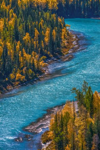 Drive along Altay toward the vastness of summer