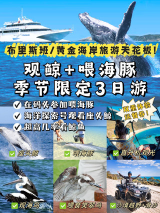 ทัวร์ชมวาฬและให้อาหารโลมา 3 วัน ที่เกาะมอร์ตัน - เปิดให้จองแล้ว!