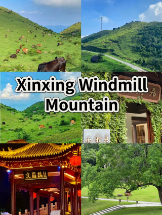 Versi Guangdong dari "Little Altay"! Gunung Kincir Angin hanya berjarak 2 jam, padang rumput yang menakjubkan di tengah awan.