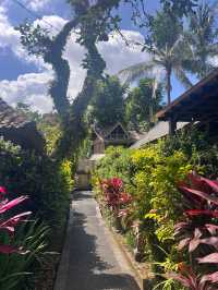 An Enchanting Stay in a Tropical Paradise