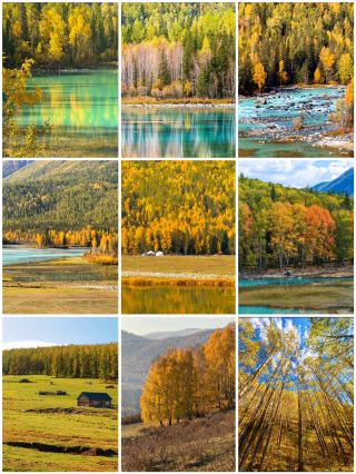 Kanas Off-the-Beaten-Path Autumn Guide: Avoid the Crowds and Experience a Golden Fairytale