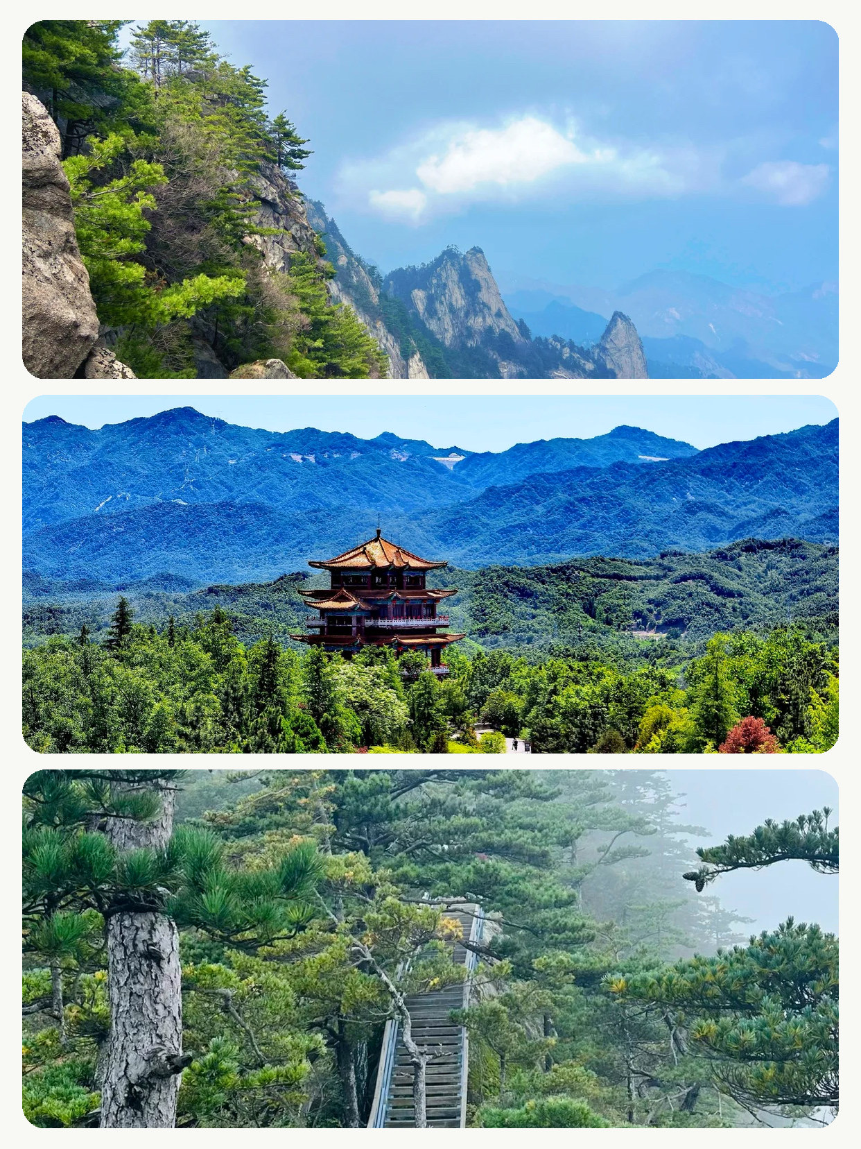 Worried about tiring out your parents during the National Day holiday? These destinations feature gentle slopes for a stress-free trip.