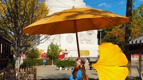 선양의 편리한 숙소에 머물며|동탑의 백 년 고요한 풍경 속으로 — traveler post in 선양