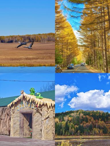 Yichun is beautiful, but I really don't recommend going in October–November. Here's the honest truth