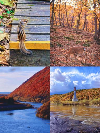 Just back from Yichun, and I really don't recommend going in October–November. Here's the honest truth