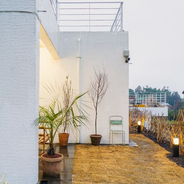🍊감귤나무뷰 자쿠지 감성숙소 [제주, 고즈넉]🏡