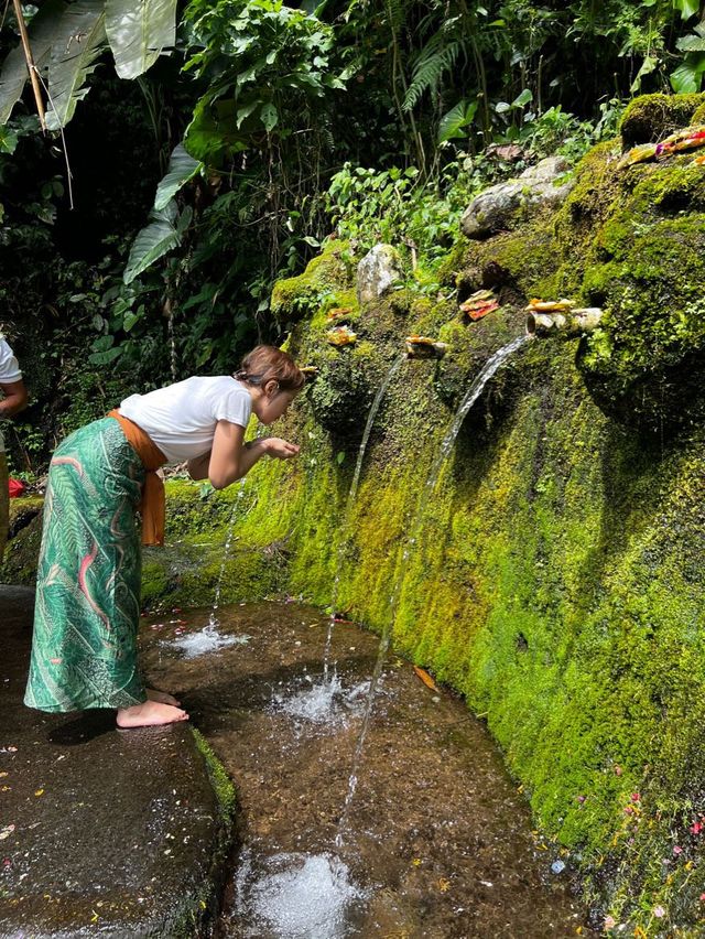 Purify Yourself at Sebatu Holy Water Spring