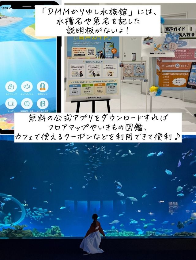 バーチャルとリアルが融合した水族館