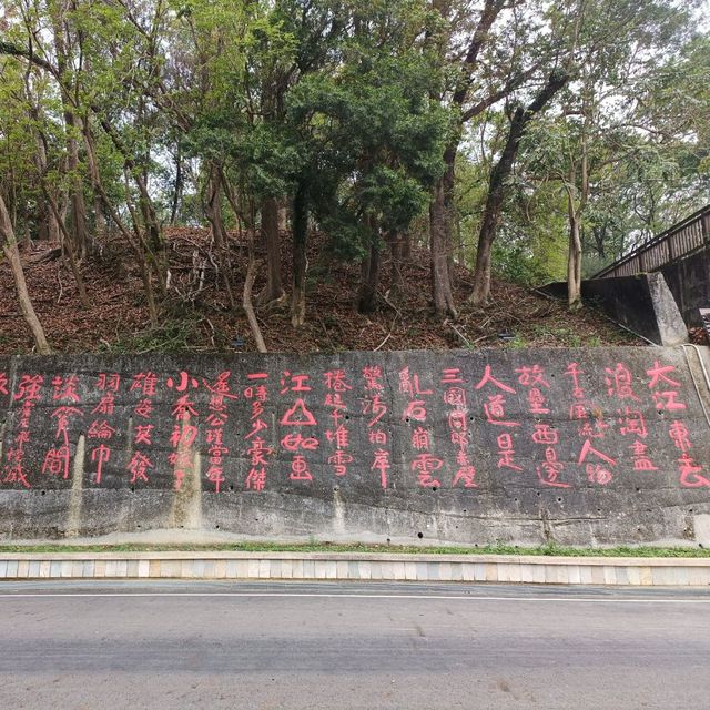 嘉義竹崎親水公園 天空走廊 行千吊橋（千禧橋）花棋木盛開美不勝收