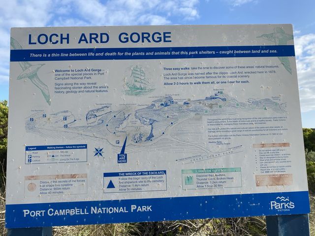 Mysterious Loch Ard Gorge & 12 Apostles!