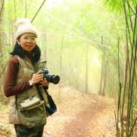 ยอดผาแดง จุดชมวิวสุดอันซีนแห่งเมืองหนองเขียว