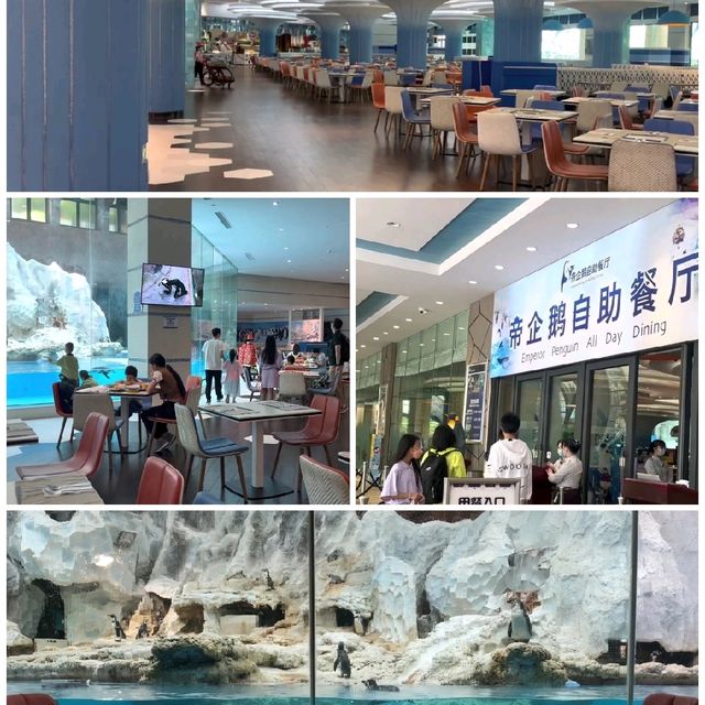 企鵝酒店🐧🐧🐧