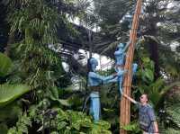 Avatar in Sg!