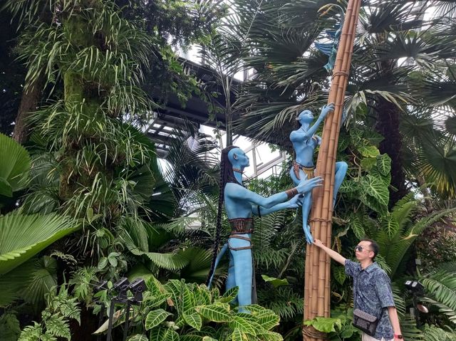 Avatar in Sg!