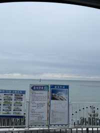釜山新景點 - 海雲台藍線公園列車 天空膠囊列車及海岸列車