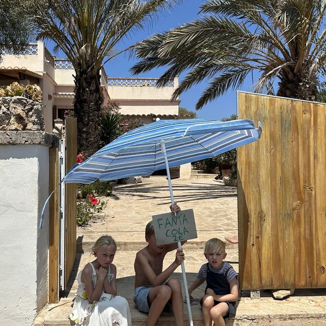 마요르카섬의 숨겨진 다이빙 스팟🥽🏝️