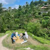Wonderful rice terraces in Bali