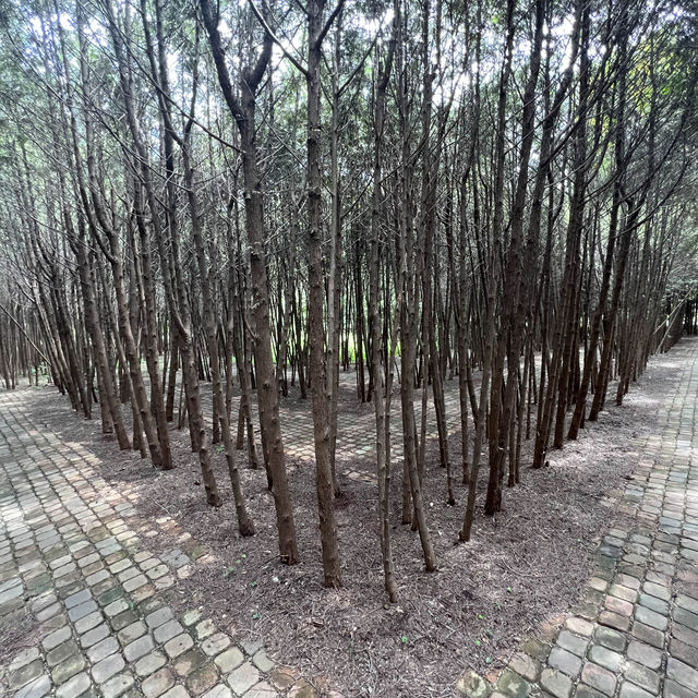 Forest Park
