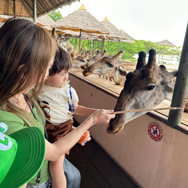 泰國曼谷最大最多元化的開放式動物園Safari World 野生世界