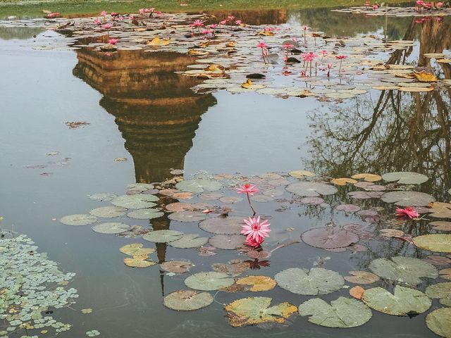 遊泰國🇹🇭素可泰歷史公園