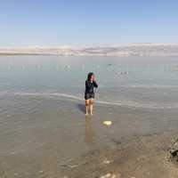 Dead Sea 