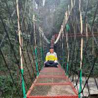Tham Nang Aen Cave at Loas 🇱🇦
