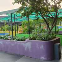 Rooftop Community Garden 