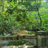 singapore's tropical gem