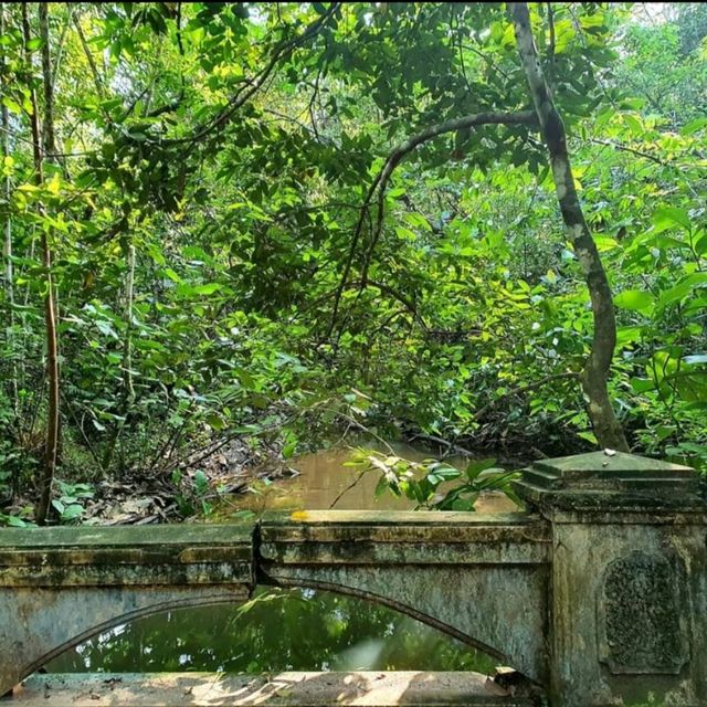 singapore's tropical gem