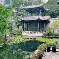 🏯🌺🍃嶺南風華🖼️順德梁園🏯🌺🍃
