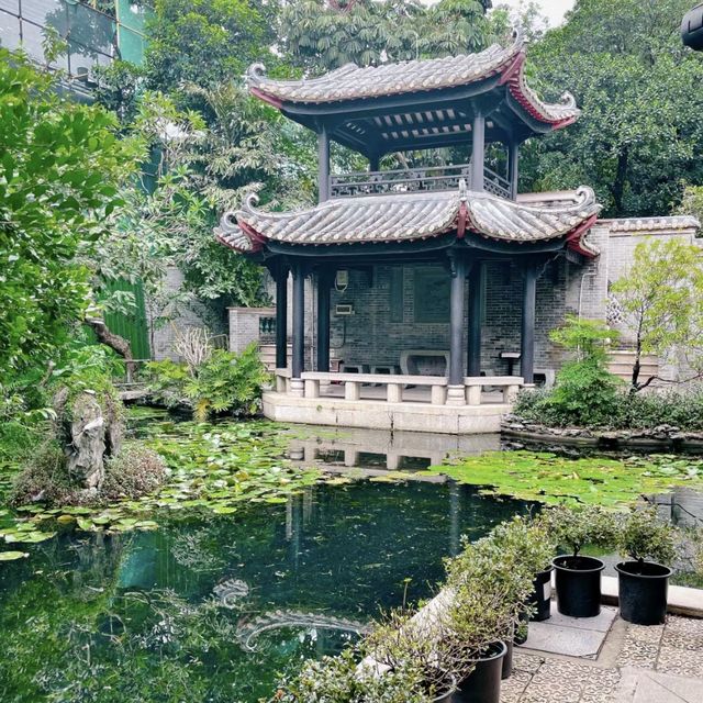 🏯🌺🍃嶺南風華🖼️順德梁園🏯🌺🍃