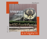 ตลาดฟื้นอดีต บางมูลนาก แชะ ชิว