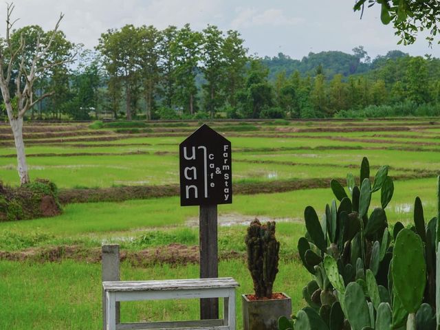 นาตาทา Cafe' & Farm Stay