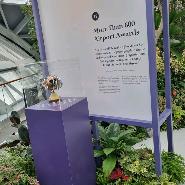 The Making of Changi Airport Story 🛫