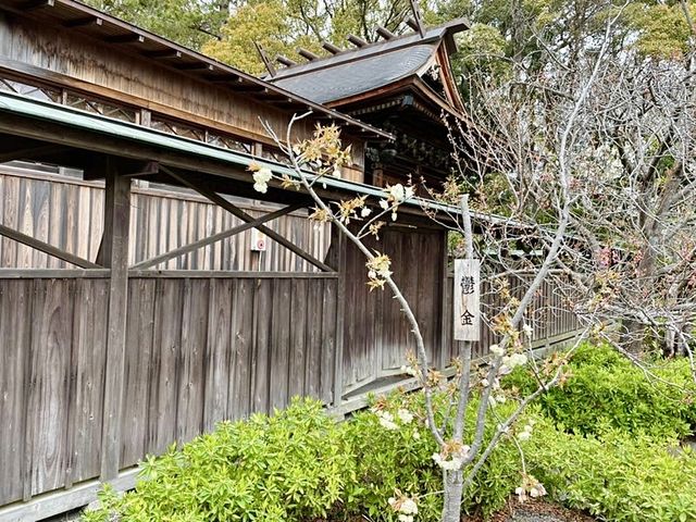 【静岡県/御穂神社】松の参道が印象的な神社