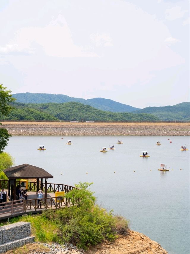 산책하기좋은 마장호수 출렁다리