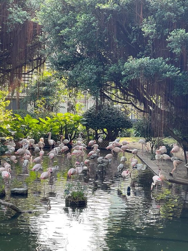 秋天必去的好去處，九龍公園！🍂🍁