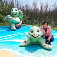 熱情島嶼。澎湖。花火節